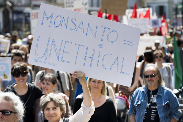 5월21일 전세계 400여 개 도시에서 최대 유전자변형식품(GMO) 개발업체인 몬샌토에 항의하는 시위가 열렸다. 스위스 모르주에서 행진하는 시민들. AP