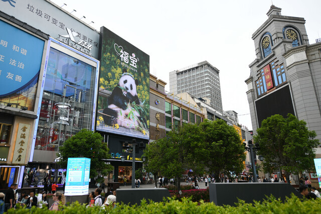 A large banner with a photo of the panda Fu Bao hangs in downtown Chengdu, China, on April 4, 2024, when the bear was relocated to the city in Sichuan. (Xinhua/Yonhap)