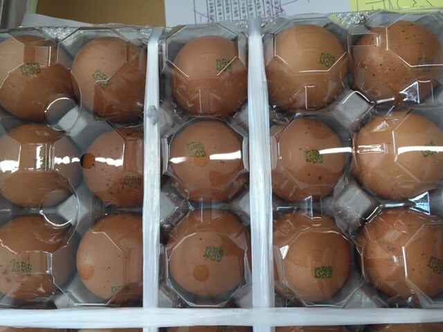 Eggs from a farm in Naju