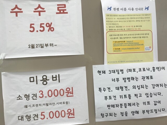 경기도 남양주 경매장의 안내 문구. 애니멀피플 제공