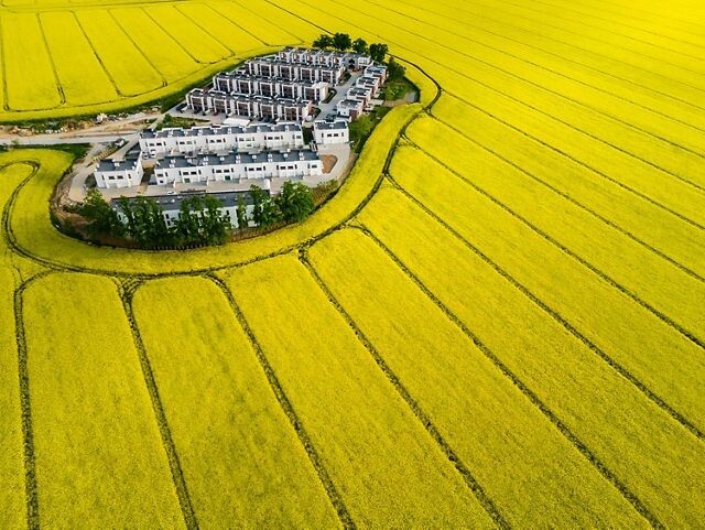 항공 부문 1위 ‘유채꽃밭 속의 마을’. © Agnieszka Wieczorek/TNC Photo Contest 2023