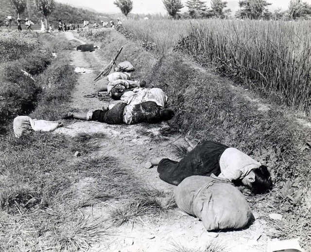 ❺ 북한군을 피해 달아난 민간인들이 영산 근처 빨치산의 야간 공격으로 학살됐다. 1950년 8월25일 촬영.