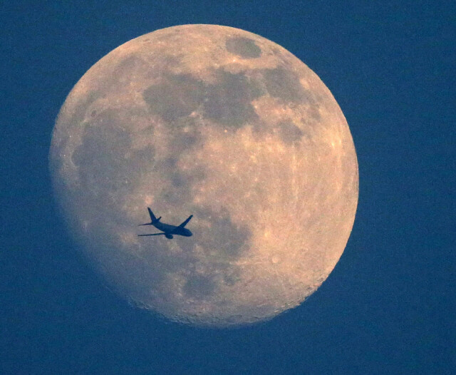 김진수 기자