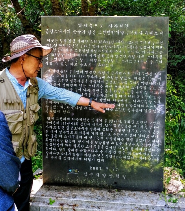 이런 소나무들을 일제가 수탈했음을 알리는 남부지방산림청의 표지석