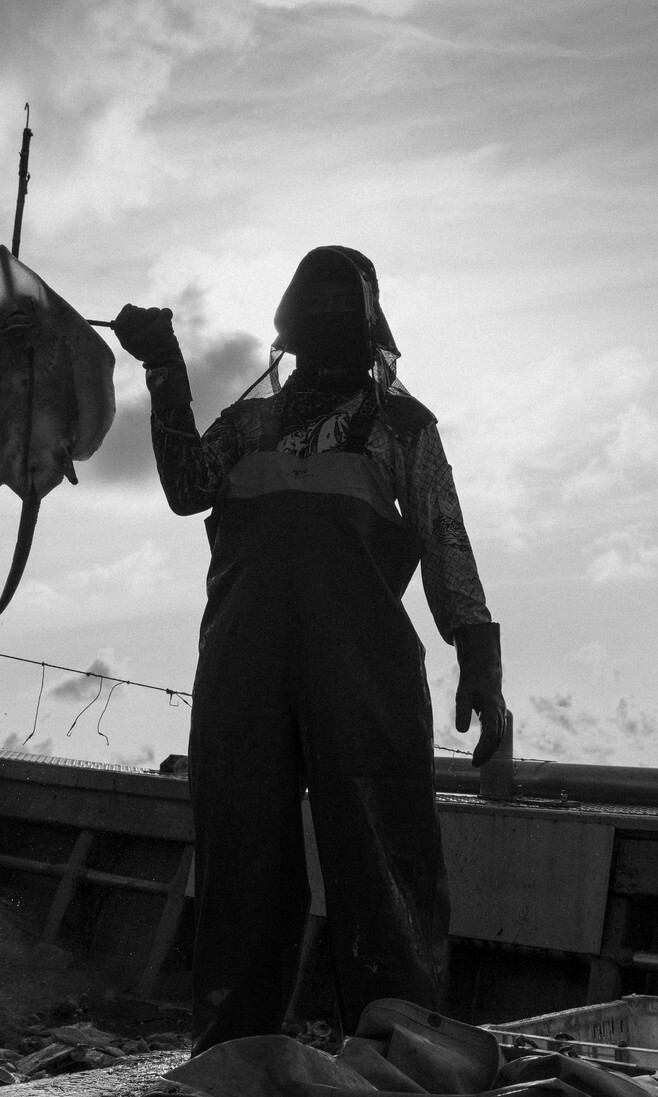 배에는 빠꾸가 없응께