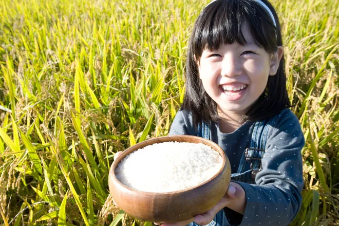 [Photo] South Korean rice consumption falls half in 30 years