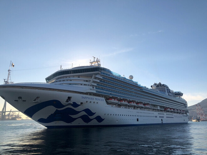 The cruise ship Sapphire Princess is docked at the Port of Busan on Jan. 2, 2019. (provided by the Busan Port Authority)