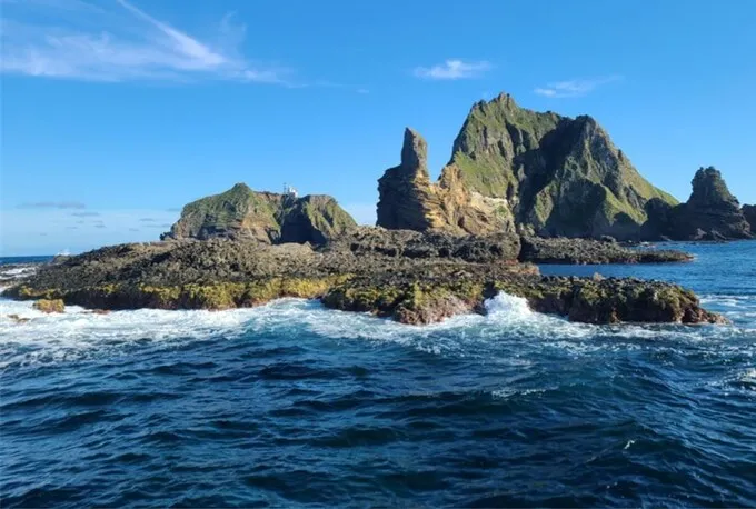 「私には漕ぎ足がある」…独島で新たな動物発見