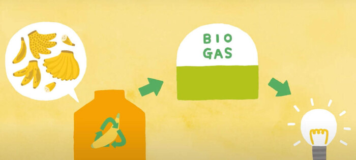 청과업체 돌(Dole)이 ‘아까운 바나나 프로젝트'를 소개하는 영상. 누리집 갈무리