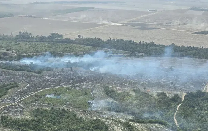 Smoke rises from the Amazon rainforest near a soybean farm in Paragominas, Brazil, as seen on Nov. 13, 2025, as the COP30 conference went on elsewhere in the country. (Ock Kee-won/Hankyoreh)
