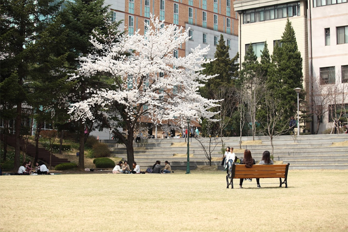 서울여자대학교 2년 연속 2025년 서울마이칼리지 공모사업 선정.서울여대 제공