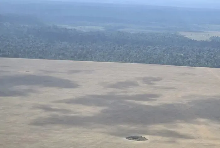 A massive bean farm in Paragominas, Brazil, seen from a plane on Nov. 13, 2025. (Ock Kee-won/Hankyoreh)
