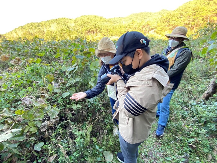 박준영 학생과 엄마 이연숙씨가 긴다리호랑거미를 발견한 뒤 사진을 찍고 있다.