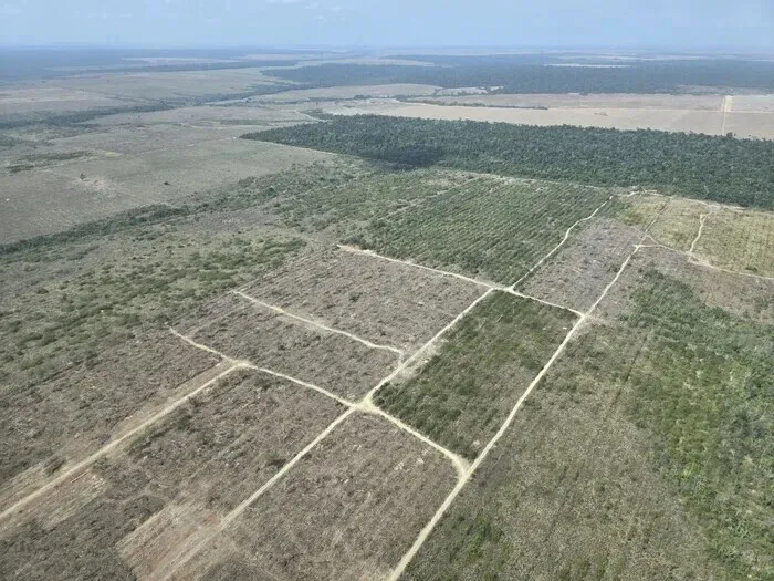 An aerial view of the farmlands of Pará made on land that once homed the Amazon rainforest, as seen on Nov. 13, 2025. (Ock Kee-won/Hankyoreh)