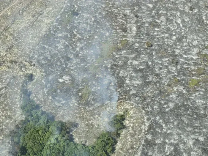 Vast swaths of the forest have been left burnt and black in the vicinity of bean farms in Paragominas, Brazil, as seen on Nov. 13, 2025. (Ock Kee-won/Hankyoreh)
