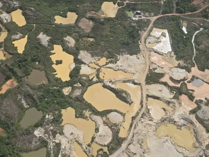 [Reportage] Scorched, slashed, mined: Outside UN climate talks, the Amazon is burning