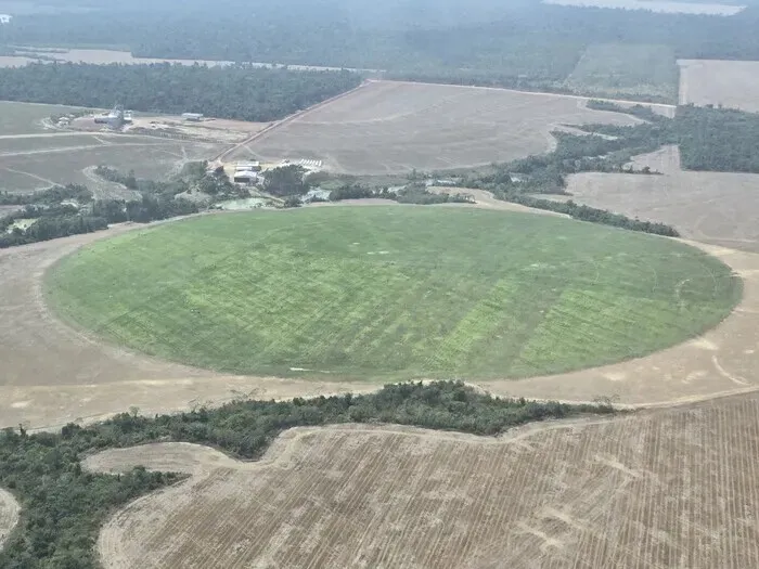 Areas of the Amazon in the Brazilian state of Pará, about an hour’s plane ride from Belém, have been burned and converted into fields for livestock. (Ock Kee-won/Hankyoreh)