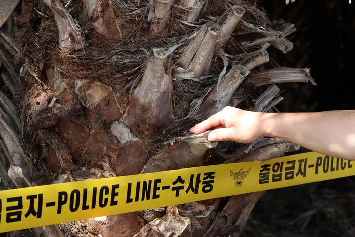 장미란씨 실종 직후 사망 추정…"허위종결 경찰관, 전화번호도 조작"