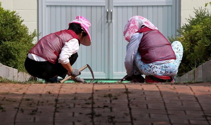 Two elderly women work pulling weeds from a stone path