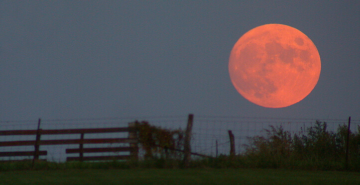 지평선 위로 떠오르는 보름달은 한밤 머리 위에 있을 때보다 더 크고 색조도 더 붉게 보인다. 위키미디어 코먼스