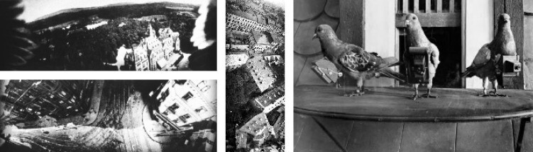 비둘기가 프랑크푸르트를 찍은 사진(날개가 함께 찍혔다)과 사진기를 단 비둘기(오른쪽). 위키미디어코먼스