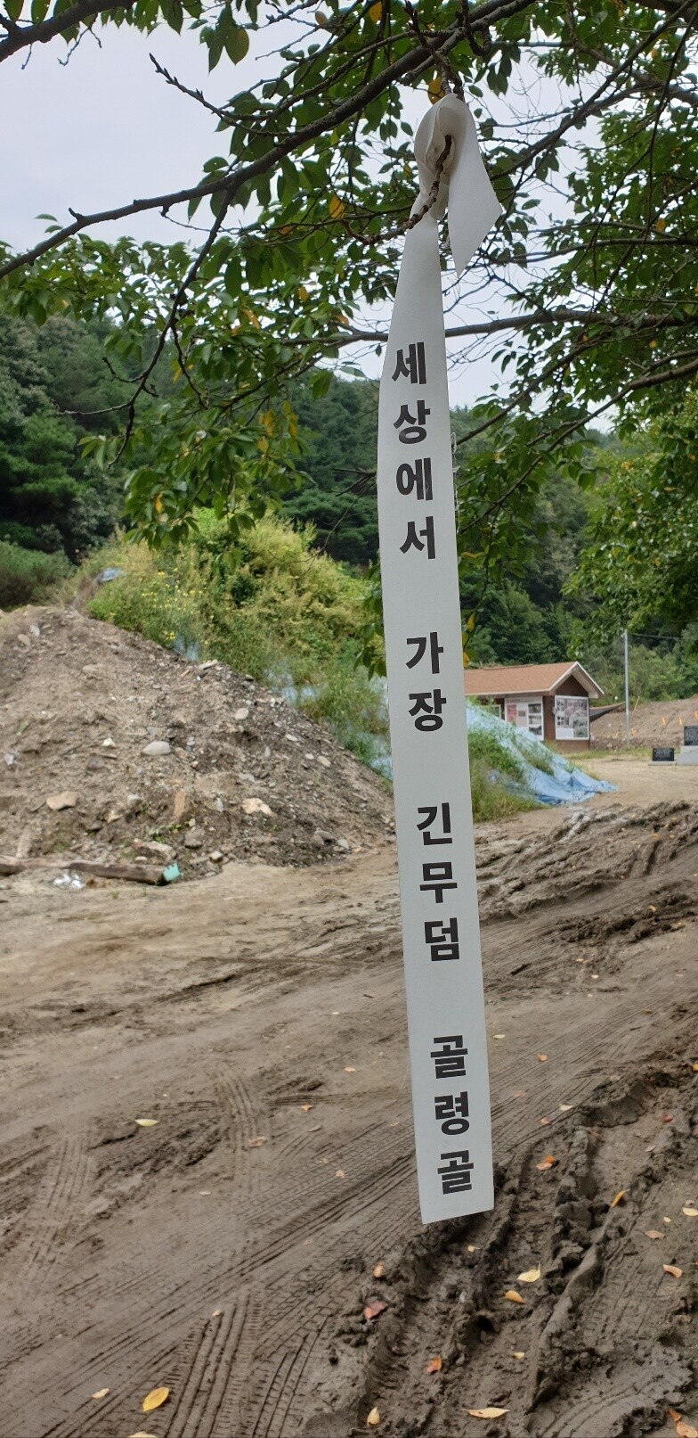 A ribbon reading “The longest grave in the world: Gollyeong Valley” hangs on a tree branch at the entrance to the valley in August 2021. (Choi Ye-rin/The Hankyoreh)