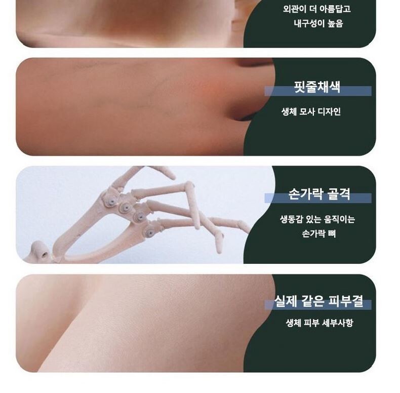 리얼돌 광고 문구. “리얼한 피부결” “고퀄 가슴” 등 여성 신체 부위에 대한 자세한 판매자 쪽의 설명과 ‘소비자’들의 댓글이 상호작용하며 ‘여성의 육체성’에 대한 지식이 재구성되며 ‘인간 여성’과의 간극을 줄인다고 김주희 교수는 설명했다. 쿠팡 화면 갈무리