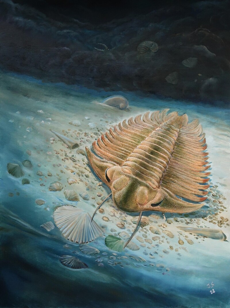 해저에서 먹이를 먹고 있는 삼엽충 상상도. Jiri Svoboda