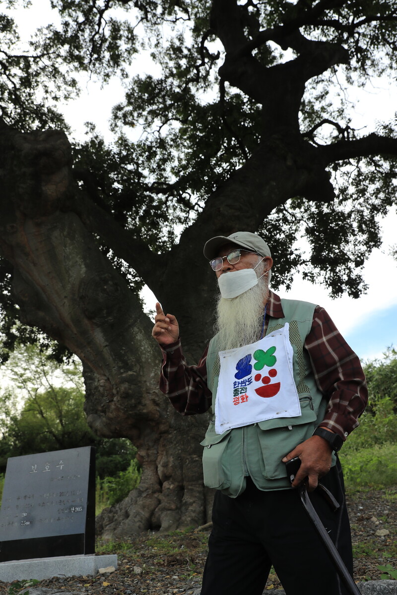 2020년 9월 ‘하제 팽나무’ 앞에 선 문정현 신부. 장영식 사진작가 제공
