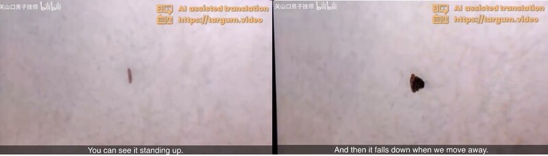 중국 연구진이 공개한 LK-99 재현 동영상의 일부 장면. 재현 물질이 자석의 위치에 따라 섰다 누웠다를 반복했다. Andrew Cote 트위터에서