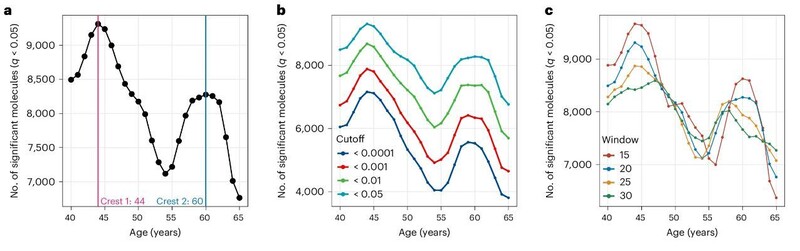 Os níveis de moléculas e comunidades microbianas associadas ao envelhecimento e à saúde mudam drasticamente entre as idades de 44 e 60 anos. Adaptado de um artigo 