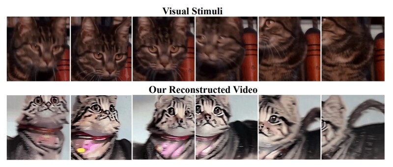 사람이 실제로 보고 있는 동영상(위)과 인공지능으로 뇌 사진을 해독해 완성한 영상(아래). 아카이브