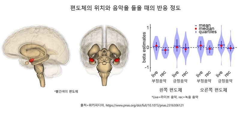 뇌 MRI 영상을 분석한 결과 녹음 음악보다 라이브 음악을 들을 때 뇌의 왼쪽 편도체 활동이 더 활발한 것으로 나타났다.