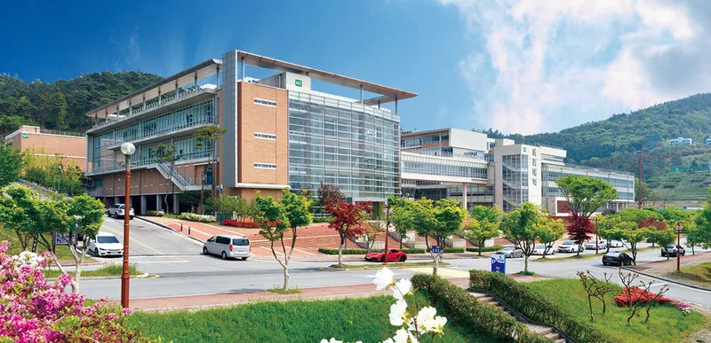 전남대 의대 내년 163명 선발…정부 증원분 50% 반영