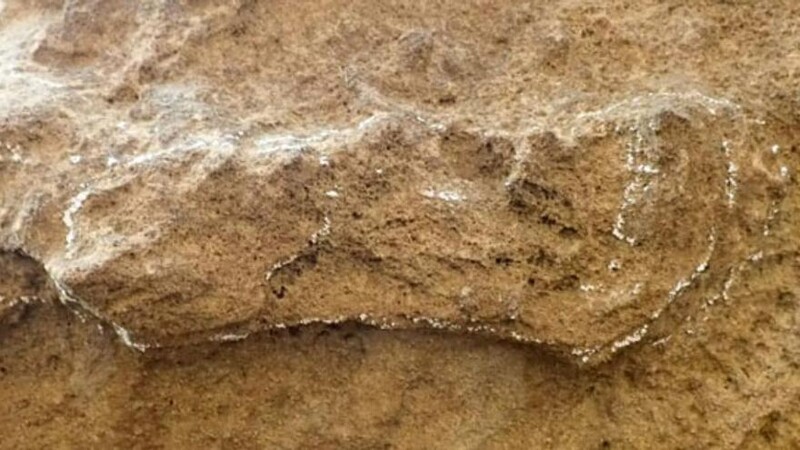 남아공 남부 해안지대에서 발견된 15만3천년 전의 발자국 화석. Charles Helm/넬슨만델라대
