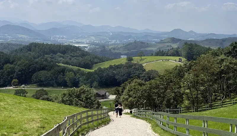 A walkable path through Daegwallyeong Sheep Farm. (Park Mee-hyang/Hankyoreh)