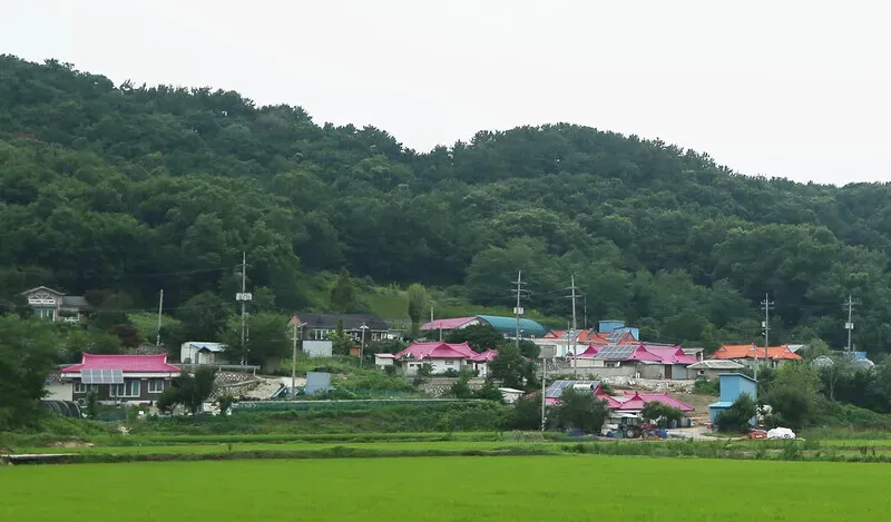 Pink rooftops of the village are the first thing visitors see when they arrive on Si-do. (Park Mee-hyang/Hankyoreh)