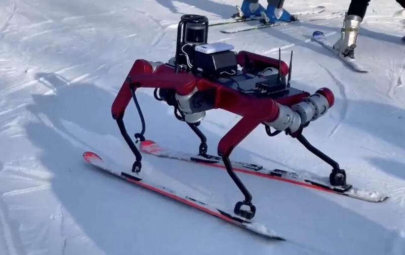 발 6개 ‘스키 타는 로봇’ 등장…중급 슬로프 통과