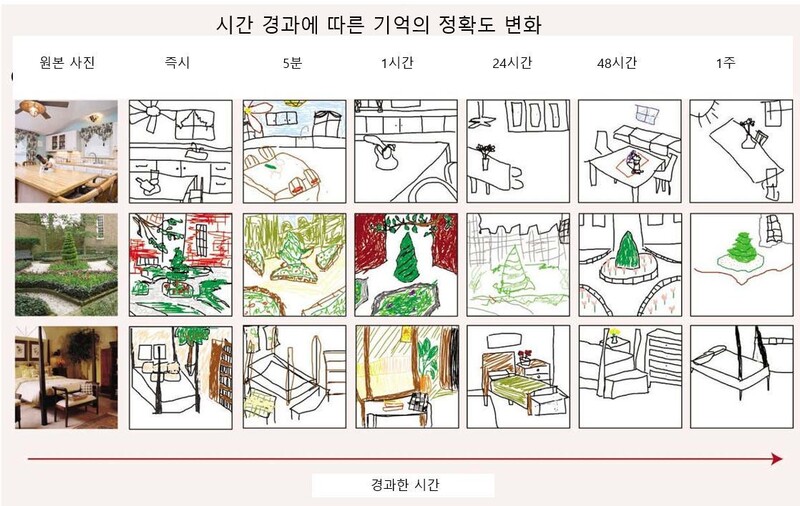 사진 장면 속 물체에 대한 기억력은 시간이 지나면서 희미해졌지만 위치에 대한 기억은 대체로 정확했다. 연구진 제공(Emma Megla 등)