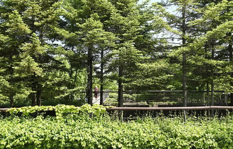 Once a water purification plant, Sunyudo Park has turned over a new leaf as an ecological garden. (Park Mee-hyang/Hankyoreh)