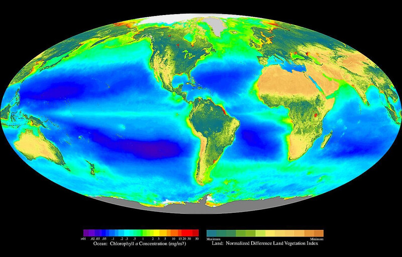 바다와 육상에서 이뤄지는 광합성의 전 세계적 분포도. 진한 적색과 청록색은 각각 바다와 육지에서 광합성이 활발한 영역을 가리킨다. 위키미디어 코먼스