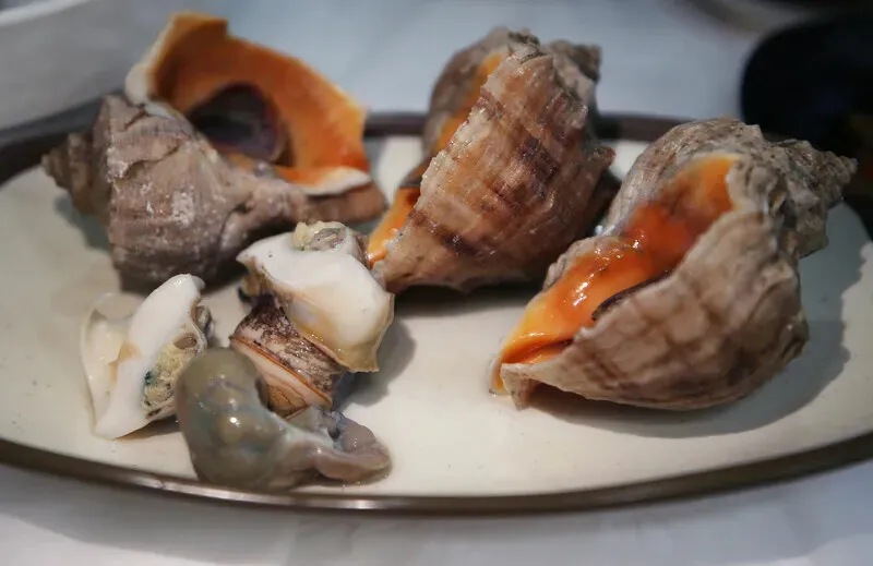 Steamed turban shell at Seom Sarang Gul Sarang. (Park Mee-hyang/Hankyoreh)