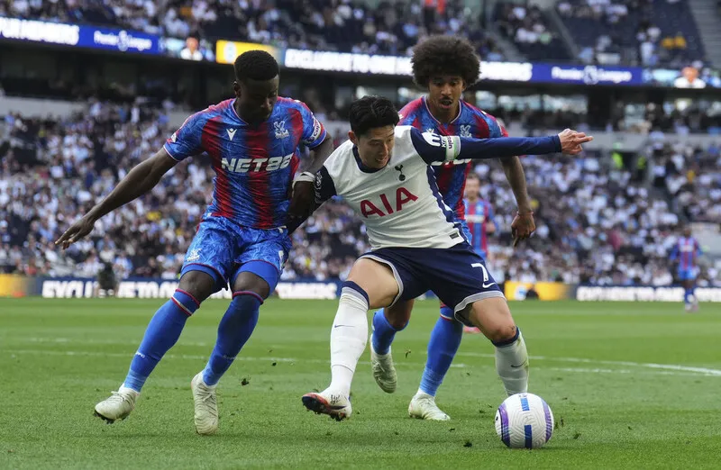 손흥민, 축구장 그리고 넷제로 [윤지로의 인류세 관찰기…