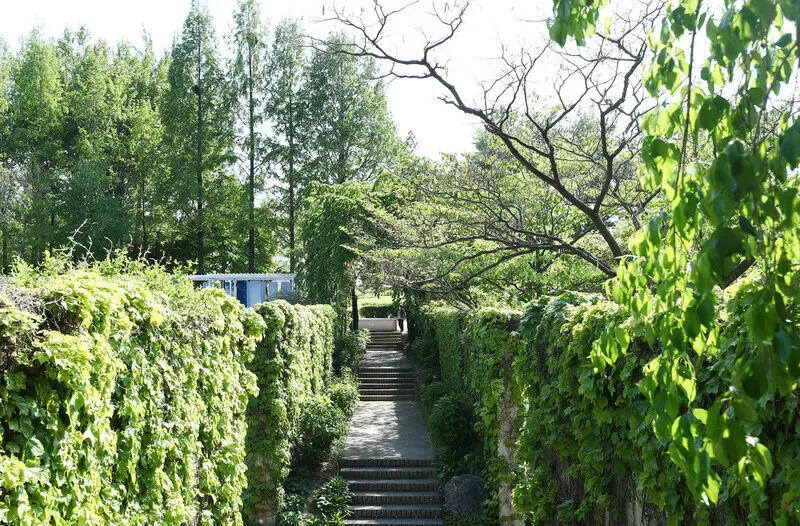 The lush greenery is the star at Sunyudo Park. (Park Mee-hyang/Hankyoreh)
