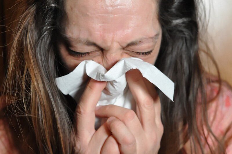 Participants exhibited common cold symptoms, such as a runny nose and sore throat. (courtesy of Pixabay)