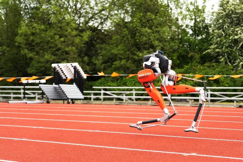 The bipedal robot 'Casie' is challenging the Guinness record for running 100 meters.  Courtesy of Oregon State University