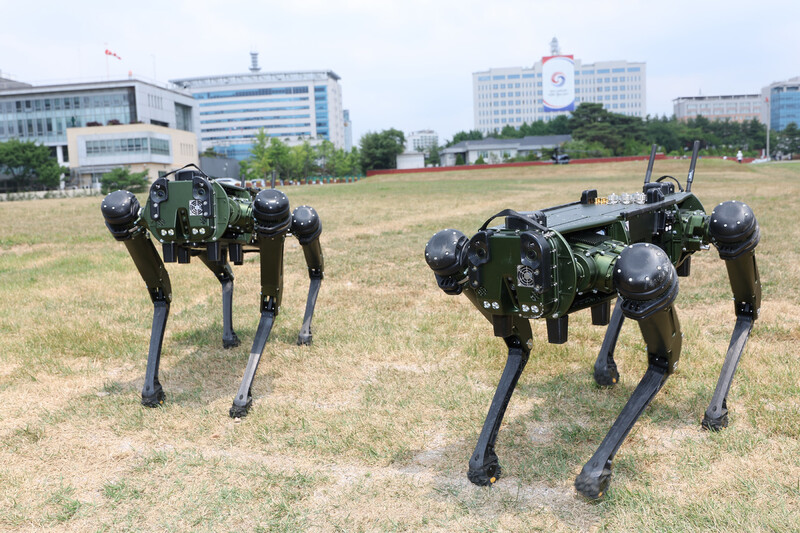 지난 6월 일반 국민에게 개방된 서울 용산공원에서 미국 ㄱ사의 로봇개가 대통령 집무실 경호용으로 시험 운용되고 있다. 연합뉴스