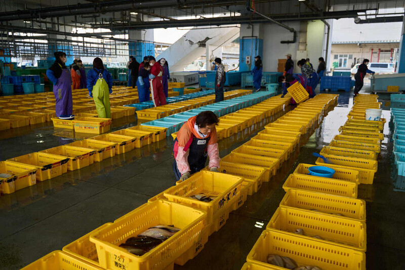 Fishers organize their catches at a fish market in Fukushima on March 8. (Xinhua/Yonhap)