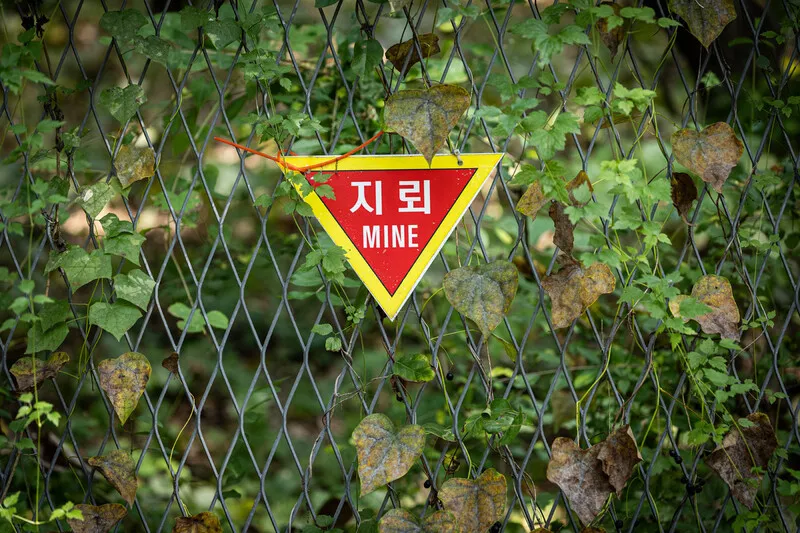 북한군 8∼9월 총 50여차례 MDL 침범…동부전선에 집중