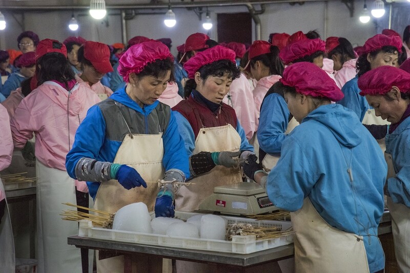 North Korea workers in the Rason Special Economic Zone prepare squid to be exported to China in 2015. (provided by Takashi Ito)